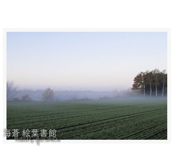 【A4フォト】十勝平野の秋 1枚目の画像