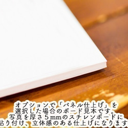 【A4フォト】よろしくね 2枚目の画像