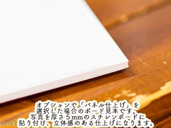 【A4フォト】小さな薄白、小さな薄紅 2枚目の画像