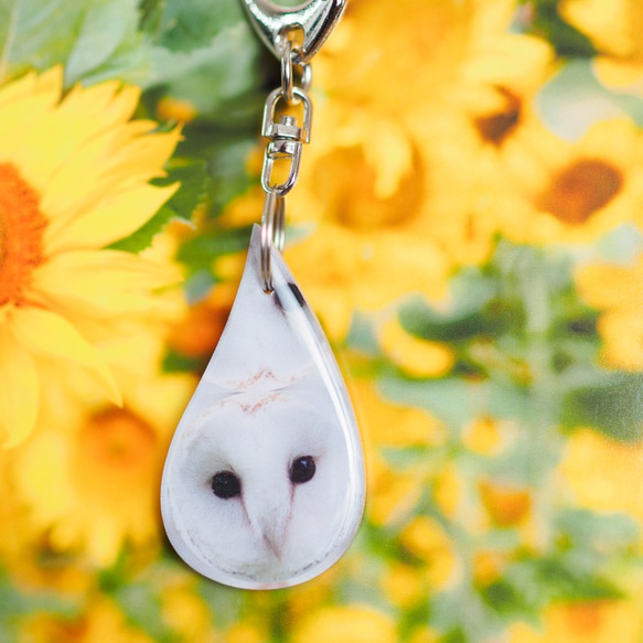 【キーホルダー】メンフクロウ#1【しずくだま】 1枚目の画像