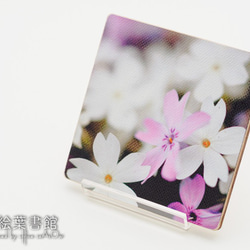 miniキャンバスフォト　芝桜 1枚目の画像