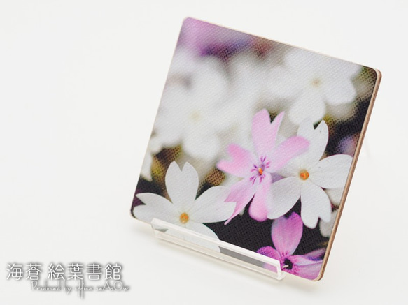 miniキャンバスフォト　芝桜 1枚目の画像