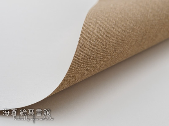 miniキャンバスフォト　芝桜 9枚目の画像