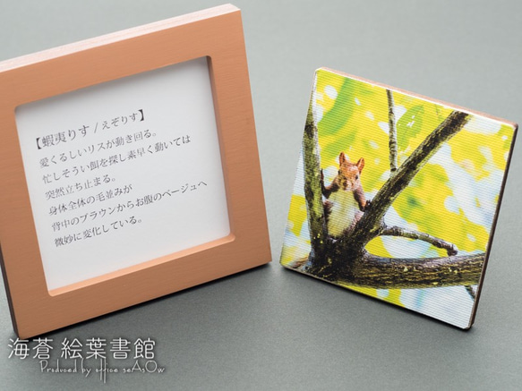 miniキャンバスフォト　芝桜 3枚目の画像