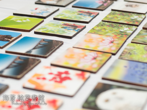 miniキャンバスフォト　芝桜 7枚目の画像