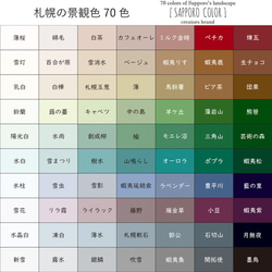 miniキャンバスフォト　芝桜 6枚目の画像