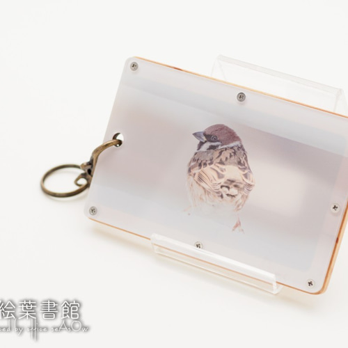 パスケース】天然木とアクリル写真のパスケース ちゅんけつ【IC