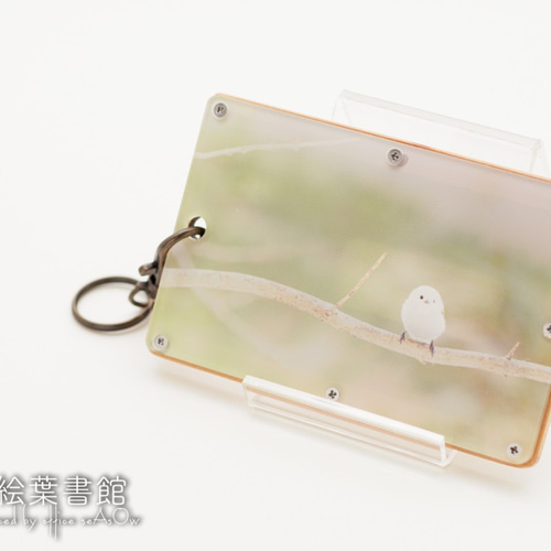 YAWARA ラミネートカード　パスケース　グッズ２点セット YAWARA ラミネートカードパスケースグッズ2点セット