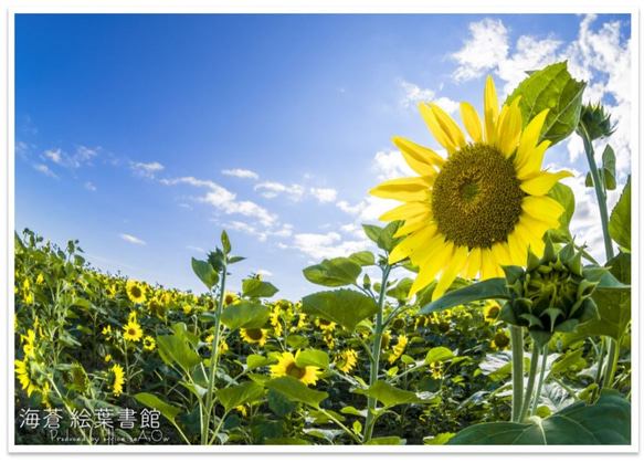 【A4フォト】地球は廻る 1枚目の画像