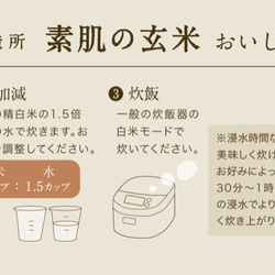 【炊きやすく、美味しい】玄米生活の入門用にいかがでしょうか｜新潟県産｜　素肌の玄米5kg 2枚目の画像