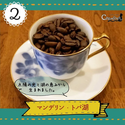 【クレモナ】お試しセット｜コーヒーより紅茶好きにもおすすめ「風のブレンド」と、選べる３種類のスペシャルティコーヒ 3枚目の画像