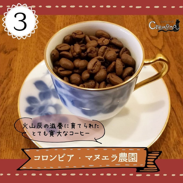 【クレモナ】お試しセット｜コーヒーより紅茶好きにもおすすめ「風のブレンド」と、選べる３種類のスペシャルティコーヒ 4枚目の画像
