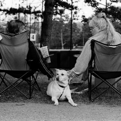 白黒物語映画撮影シリーズ[羁绊]フレームレス肖像犬 1枚目の画像