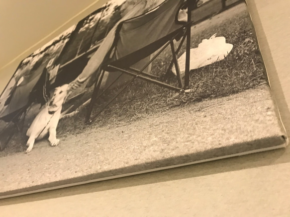 白黒物語映画撮影シリーズ[羁绊]フレームレス肖像犬 3枚目の画像