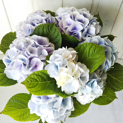 ２０２０年世界限定　16 / 100 紫陽花シルクスクリーン　額装　即決品 2020年世界限定 16 / 100 紫陽花シルクスクリーン 額装 即決品