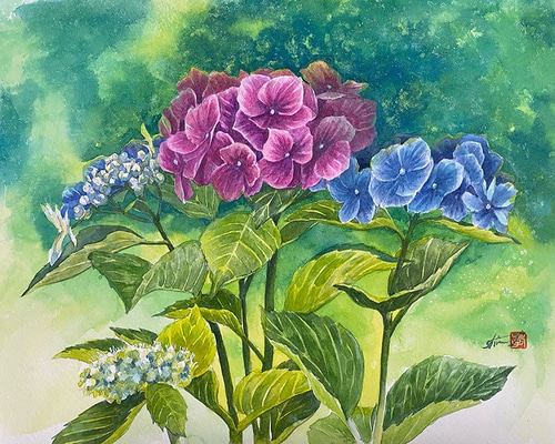 mitukiさま専用（原画）紫陽花の雨【A5サイズ／水彩画／#2243】 94701df7fa7f06c490bd17d2f8cf27