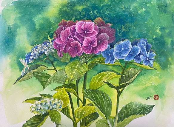 絵画【梅雨の水たまり白い紫陽花】 油絵 油彩 油彩画 絵 絵画【梅雨の水たまり白い紫陽花】 絵画