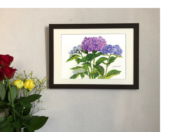 ご注文制作A4サイズ「紫陽花Ⅲ」水彩、手描き原画、1点物、額装済み。送料無料 1枚目の画像