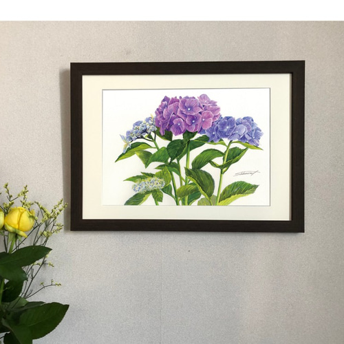 原画 フラワーアート 花の絵 花柄 ボタニカル 花図鑑　花　ガーデン 紫陽花 原画 フラワーアート 花の絵 花柄 ボタニカル 花図鑑 花