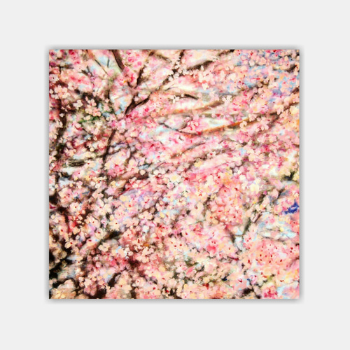 22×27㎝「民家と壮大な雲」F3・油彩・原画 絵画 かいがのみせ