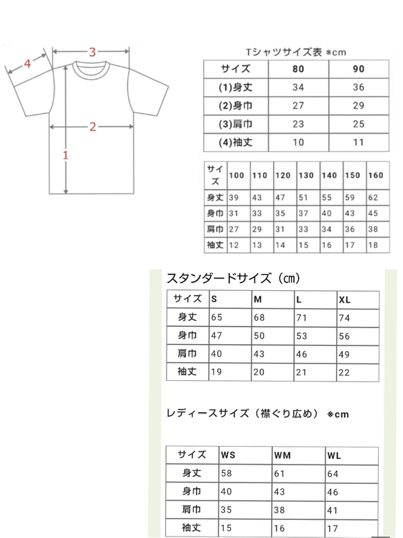 受注制作  キッズTシャツ 10枚目の画像