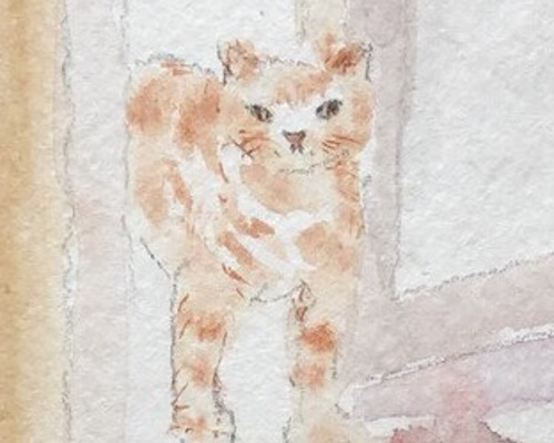 1_0b94a98859b1feb005d7b59d5991