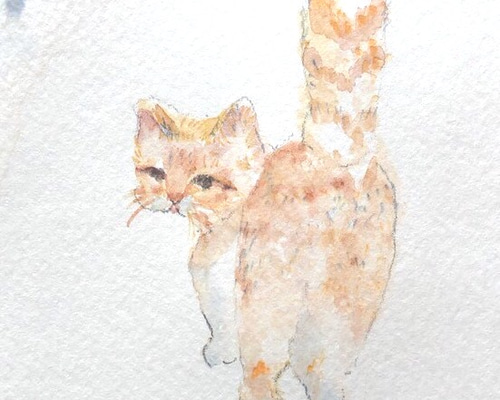 水彩画「ねこ」原画 絵画 Mayumi 通販 10053095｜Creema(クリーマ