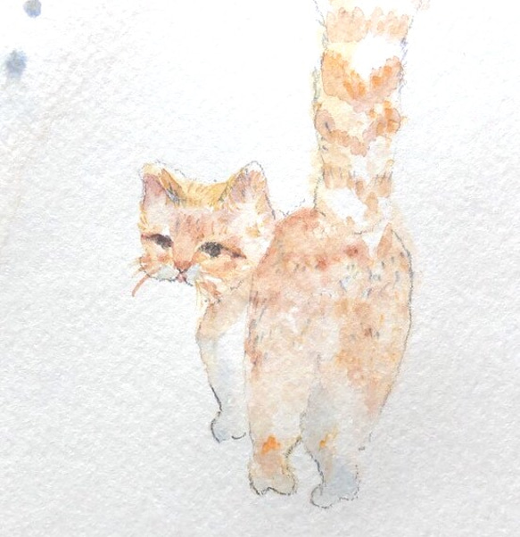 水彩画「ねこ」原画 1枚目の画像