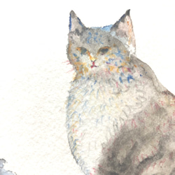 水彩画「猫」原画 1枚目の画像