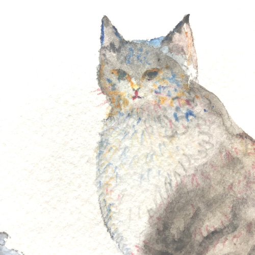 原画#3151 黒猫　海　カンヌ　フランス　水彩画　ドローイング　インテリア　猫 71bDTCEHXWL._UF350,350_QL50_.jpg