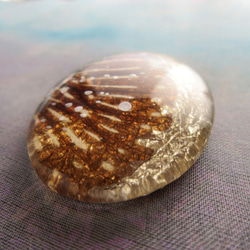 *♥*Butterfly Wing Cabochon Champagne Silver*♥* 3枚目の画像
