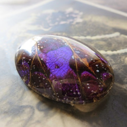 *♥*Butterfly Wing Cabochon Violet Bronze*♥* 3枚目の画像