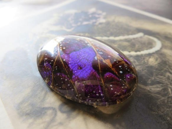 *♥*Butterfly Wing Cabochon Violet Bronze*♥* 3枚目の画像