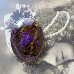 *♥*Butterfly Wing Cabochon Violet Bronze*♥* 6枚目の画像