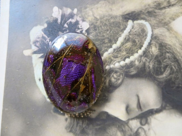 *♥*Butterfly Wing Cabochon Violet Bronze*♥* 6枚目の画像