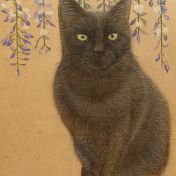B5サイズ【手描き原画★１点もの】黒猫と藤の花【マット入りの額つき】 1枚目の画像