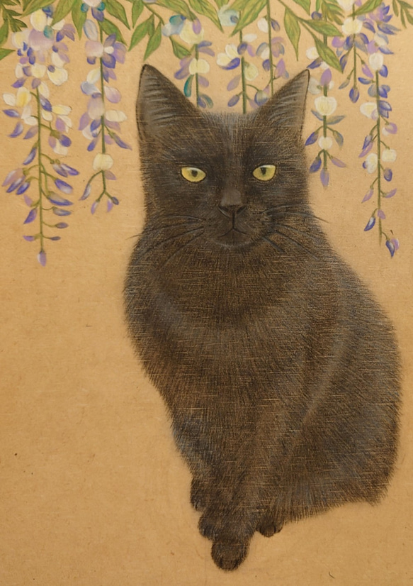 B5サイズ【手描き原画★１点もの】黒猫と藤の花【マット入りの額つき】 1枚目の画像
