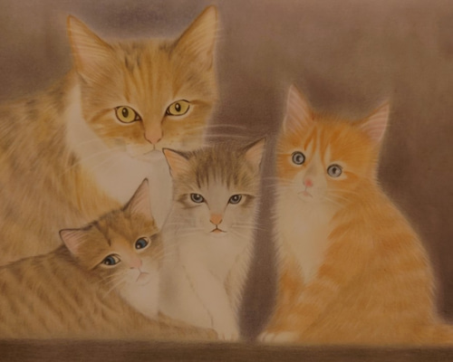 B5 額付き 原画 手描きイラスト 猫 色鉛筆画 カラーペン画（猫 ねこ 