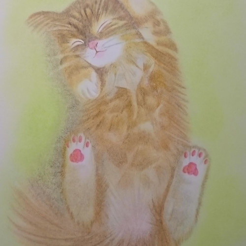 作品名: 猫 /色鉛筆画 /ケント紙 /B5サイズ /原画（送料無料