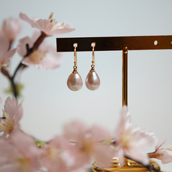 春の訪れ✴︎ピンクパープル湖水真珠のピアス/イヤリング 4枚目の画像