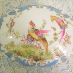 手描き上絵付♡エレガントな蓋物Box(14㎝x10㎝高さ6㎝）French Antique Bird 4枚目の画像