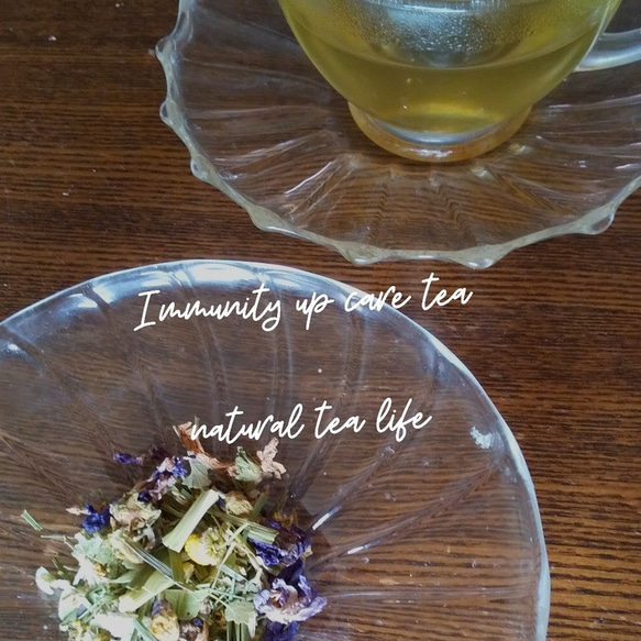 免疫力UPに「Immunity up care tea」Mサイズ 1枚目の画像