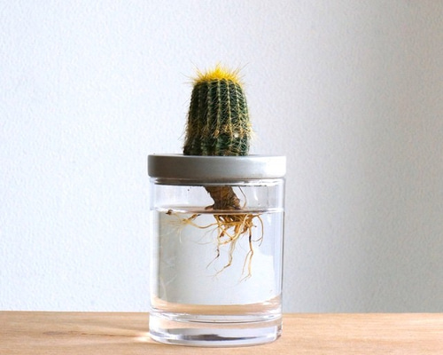 水注 手取花瓶 壱対 恒次作 木箱付(メ1268) 0_932c9d12fe2013cbd6fd658ff07f