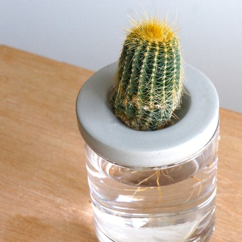 セメント水耕栽培容器 / 花瓶 -1- 一輪挿し・花瓶・花器 pokune 通販