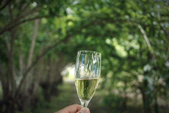 ※限定特価！長年熟成したような美味しい お酒に変化させられる樽スティック【know enough】※2本　パッケージ無 5枚目の画像