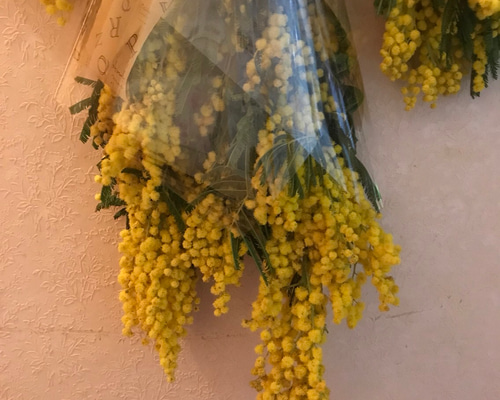 10.ミモザスワッグ ミモザ スワッグ♡ドライフラワー ドライフラワー Lyon33(リヨン