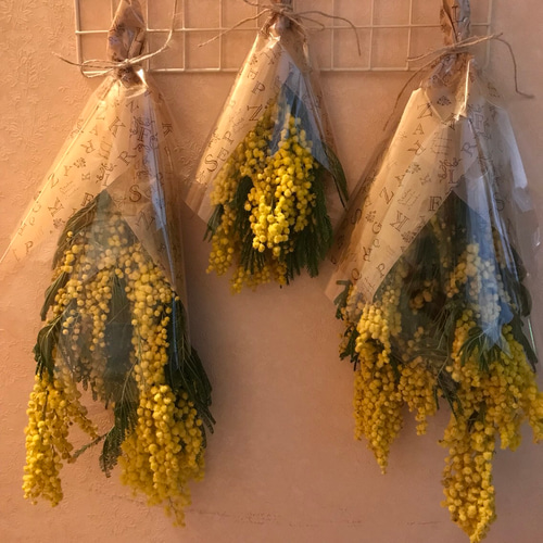 ミモザ スワッグ♡ドライフラワー ドライフラワー Lyon33(リヨン