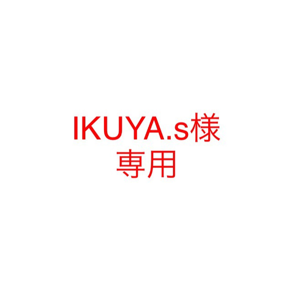 IKUYA.s様　専用ページ 1枚目の画像