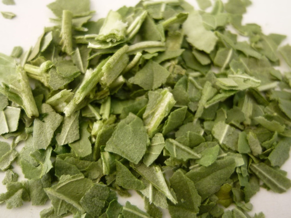 大企業の現役秘書が認めた国産ドライバジル　 4枚目の画像