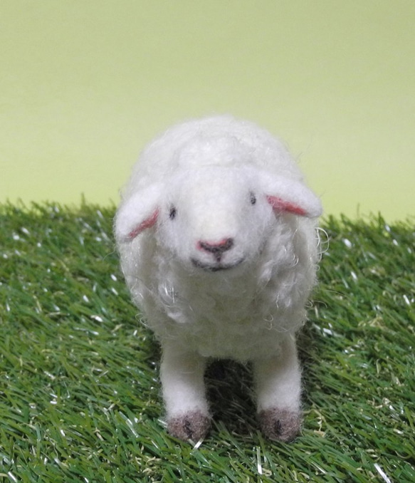 もこもこ羊【Happy】 3枚目の画像